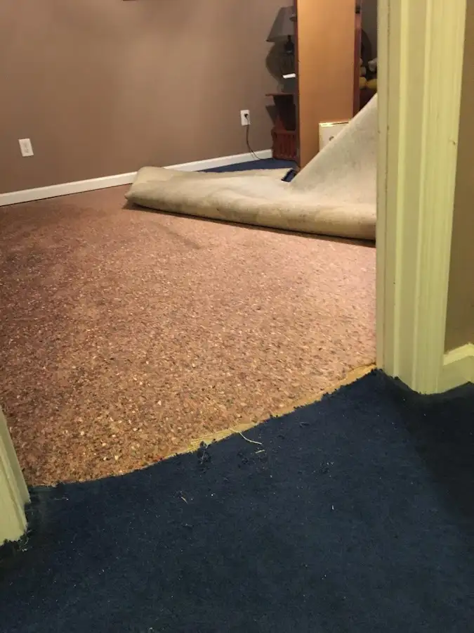 Carpet pad removal revealing water damage during Water Mitigation Services in Hillview