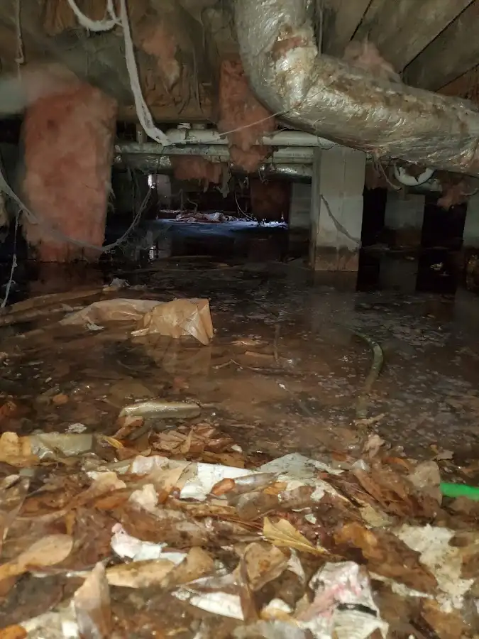 Crawl space flood assessment for Leak Detection & Repair in Hillview