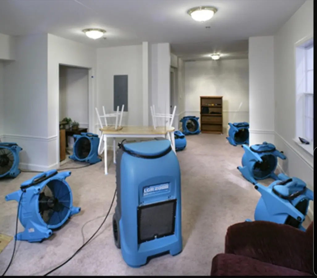 Air movers and dehumidifier setup for Water Extraction & Removal in Hillview